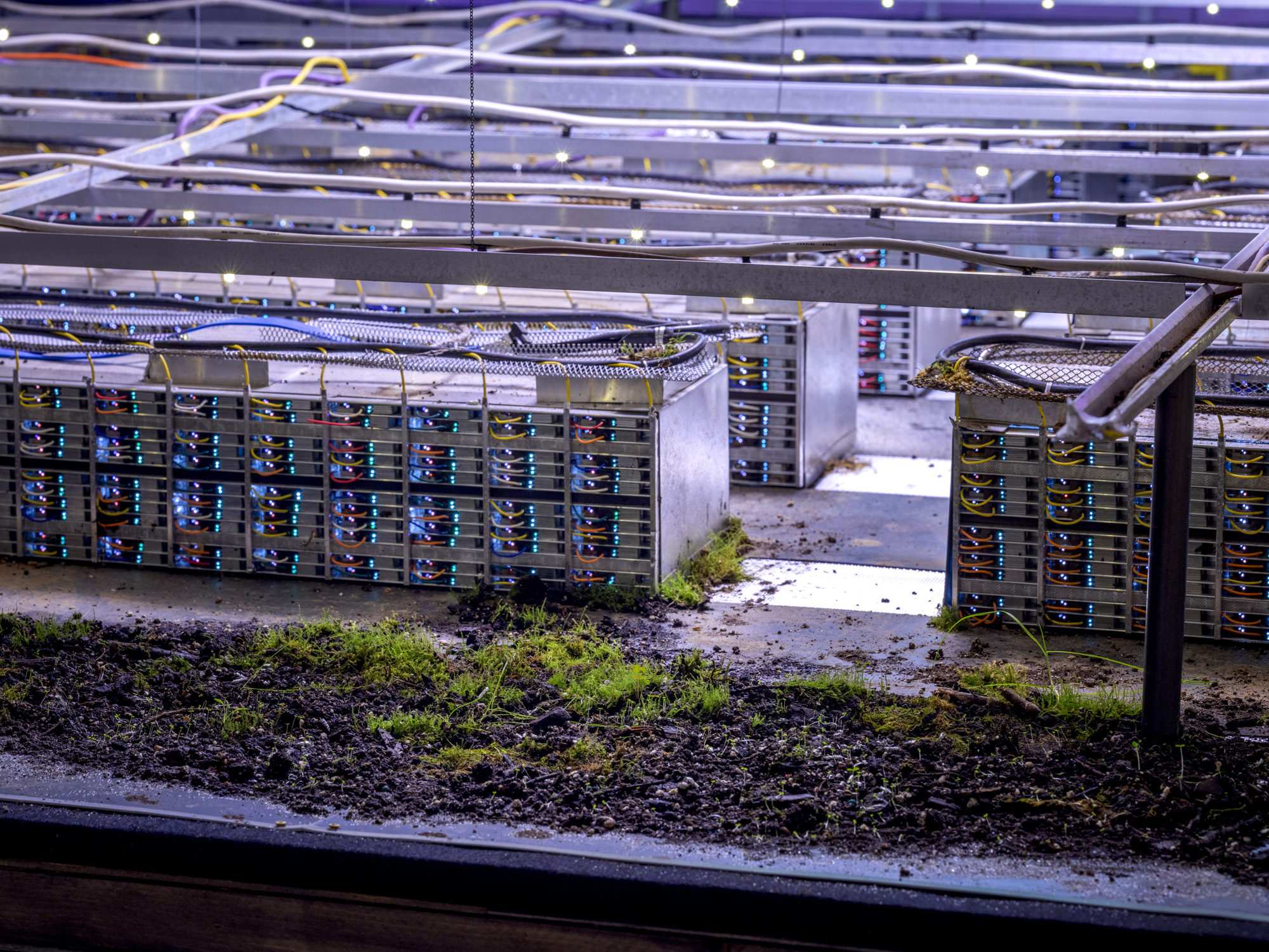 cold data [exhibition 2].jpg